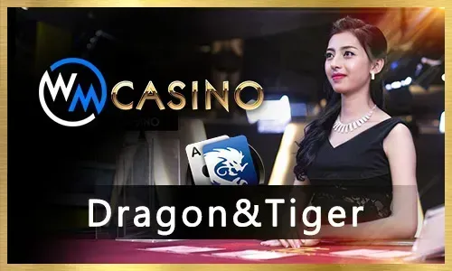 789taya Slot Games